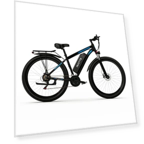 DUOTTS C29 Electric Mountain Bike — Bikes by DUOTTS