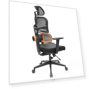 Ergonomic Chair with Adaptive Back Support — Chairs by NEWTRAL