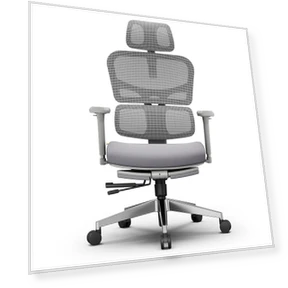 NT002 Ergonomic Office Chair — Chairs by NEWTRAL