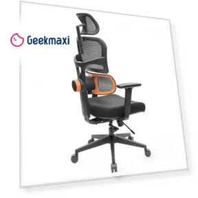 Ergonomic Office Chair with Auto-following Lumbar Support — Chairs by NEWTRAL