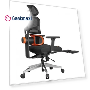 Ergonomic Office Chair with Lumbar Support — Chairs by NEWTRAL