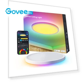 RGBWW + RGBIC Smart Ceiling Light — Lighting by Govee