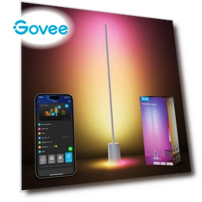 Smart LED Floor Lamp with Music Sync — Smart TV Light Bars by Govee