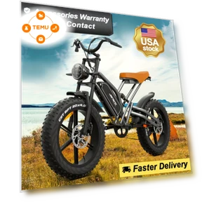 20" Fat Tire Electric Bike with 700W Motor — Bikes