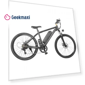 26" Electric Bike with 350W Motor — Bikes by Mankeel