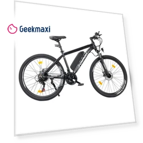 29" MTB Electric Bike with 65KM Range — Bikes by Touroll