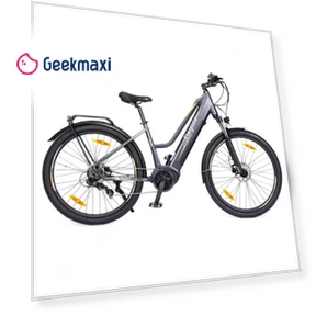 C1 ST Step-thru Electric Trekking Bike — Bikes by Eleglide