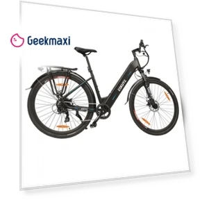 Electric Bike with 250W Motor and 90km Range — Bikes by ESKUTE