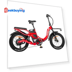 F20 X-Max Fat Tire Electric Bike - 20-inch — Bikes by Fafrees