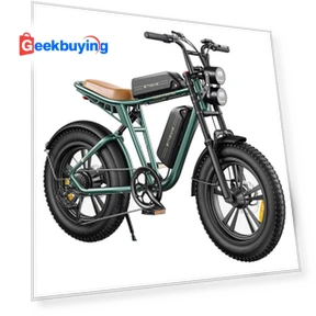 M20 Dual Battery Mountain E-Bike with Fat Tires — Bikes by ENGWE