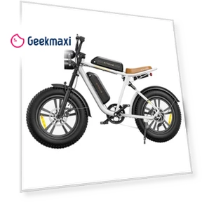 M20 Electric Bike with Dual Batteries — Bikes by ENGWE