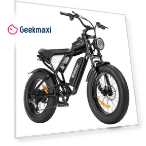 Q20 Mini Electric Bike — Bikes by Ridstar