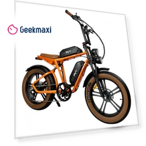 X20 Mountain Electric Bike with Fat Tires — Bikes by PVY