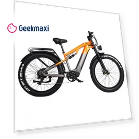 YX80 Electric Fat Tire Bike — Bikes by RANDRIDE