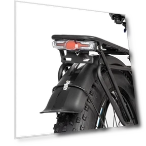 इलेक्ट्रिक बाइक — स्वयं संतुलित स्कूटर, Ridstar