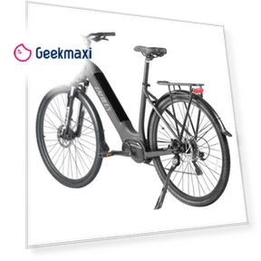 Step-through City Electric Bike — Electric Self-Balancing Scooters, Fafrees