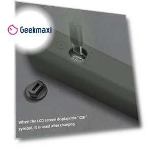 Combustible Gases Leak Detector — Gas Safety Equipment, BSIDE