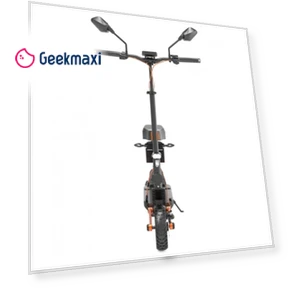 Electric Scooter with Seat — Electric Self-Balancing Scooters, JOYOR