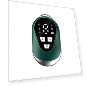 LCD Display CES Low-frequency Pulse Smart Handheld Music Sleep Instrument — Back Relief Solutions
