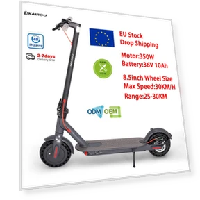 Adult Electric Scooter — Electric Self-Balancing Scooters