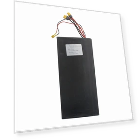 Electric Scooter Battery — Electric Self-Balancing Scooters, Other