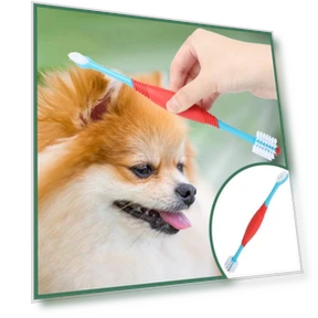 Dual Head Toothbrush for Pets — 