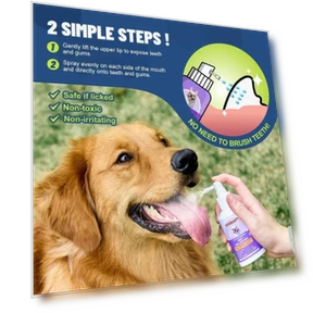 Teeth Cleaning Spray — Dental Care