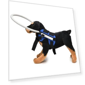 Anti-Collision Ring for Dogs — Sunglasses