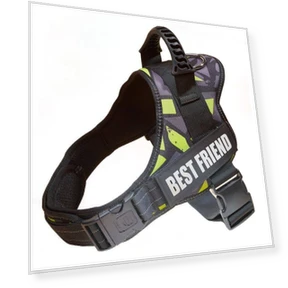 Dog Chest Strap with Night Reverse Light — Collars