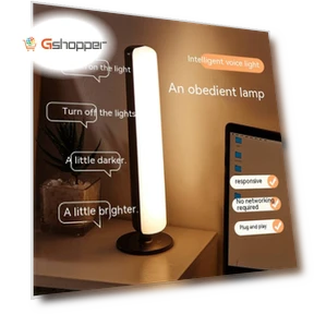 Voice Control Lamp — Standing Lights