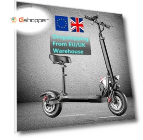 Foldable Electric Scooter — Electric Self-Balancing Scooters, Gogoway