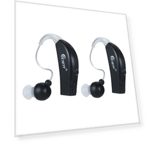 Rechargeable Hearing Aid Personal Speaker — Hearing Support