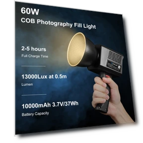 60W Studio Video Light — Photography Lighting & Studio Equipment, PULUZ