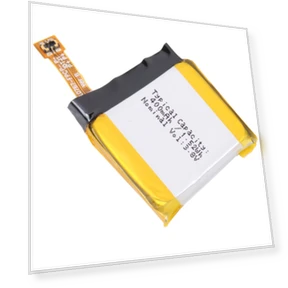 Battery Replacement — Coin & Button Cells, HUAMI