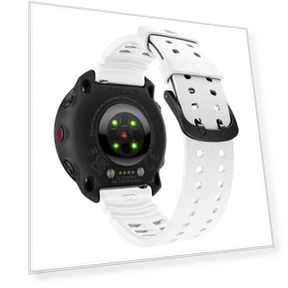 Double Buckle Silicone Sport Watch Band — Watch Accessories, Polar