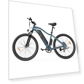Electric Bike — Electric Vehicles, Foride