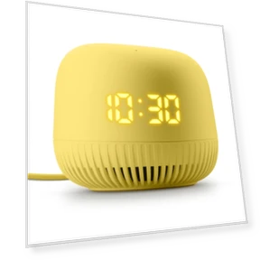 Smart Speaker with Voice Assistant — Sing-Along Systems, VK