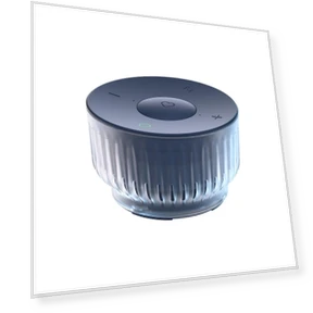 Smart Speaker — Portable Sound Systems, Sber
