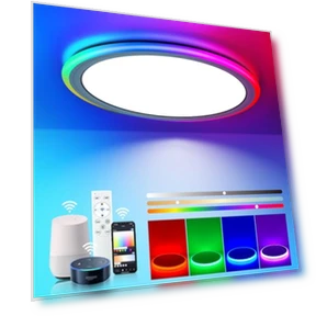 Smart RGB LED Flush Mount Ceiling Light — LED, BLNAN