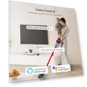 Smart WiFi Front Door Lock — Deadbolts, hornbill