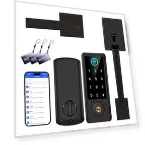 Fingerprint Door Lock with Handle Sets — Keyless Entry, BEBASIA