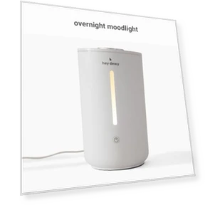 Wellness Humidifier — Air Moisturizers, Hey Dewy