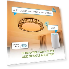 20 Inch Smart RGBW Flush Mount Ceiling Light — Overhead Lighting, ASD
