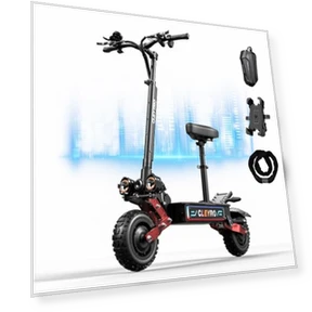 6000W Dual Motor E-Scooter — Push Scooters, Brigittebike