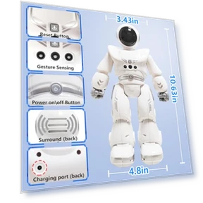 Gesture Sensing Programmable Dancing Robot — Interactive Figures & Robots, Cabhuti