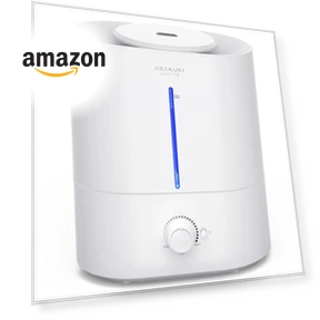 4L Cool Mist Humidifier with Diffuser — Air Moisturizers, ASAKUKI