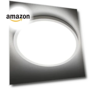 LED Flush Mount Ceiling Light Fixture — Overhead Lighting, SunRider