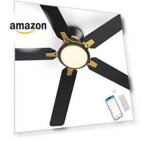 Smart Ceiling Fan with Lights — Ceiling Fan Wall Controls, SMAAIR