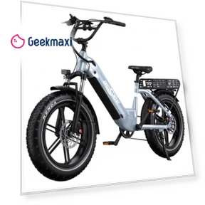 Electric Bike — Electric Self-Balancing Scooters, Onesport