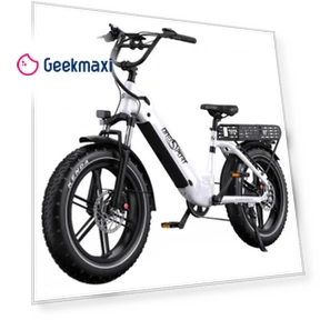 Electric Bike — Electric Self-Balancing Scooters, Onesport